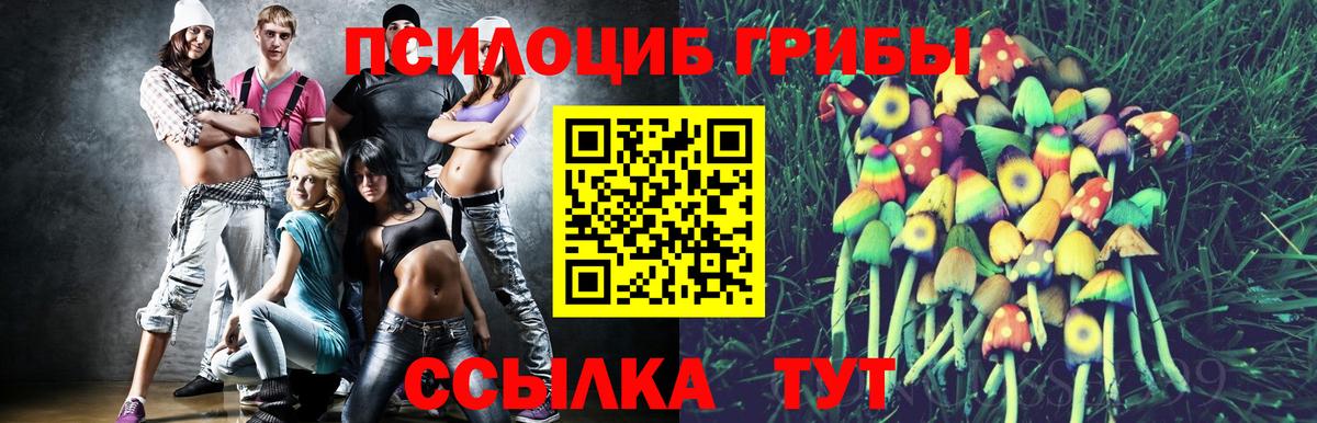 Аргун  Псилоцибиновые грибы Psilocybine cubensis  Вход с VPN 